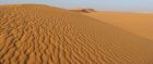 Sand dune in Algeria