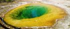 The Morning Glory Pool, Yellowstone National Park