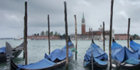 Venice: Not Springer's favourite memory