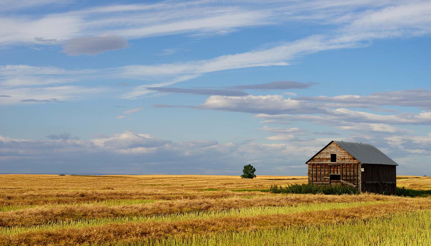 Think Canada Saskatchewan 528719424 IanChrisGraham copy