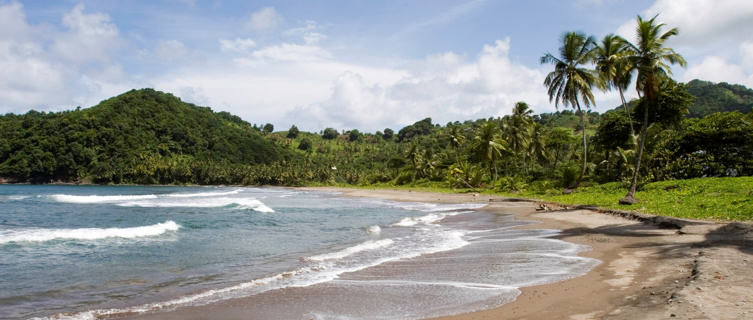 Anse