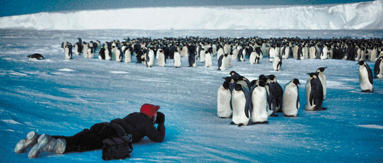 Antarctica