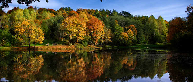 Autumn