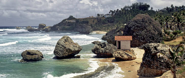Bathsheba's
