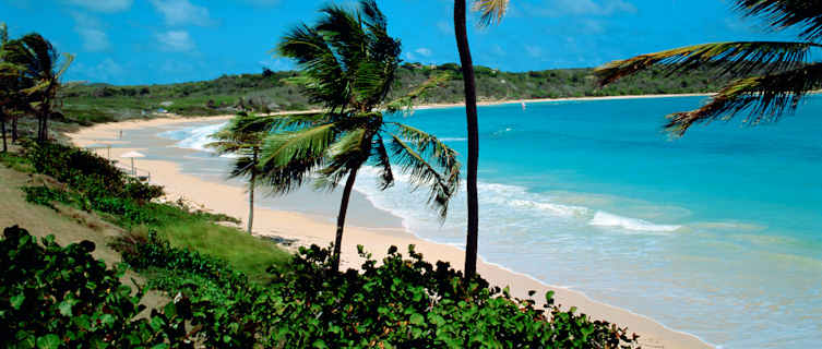 Beach,