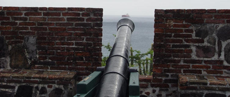 Cannon
