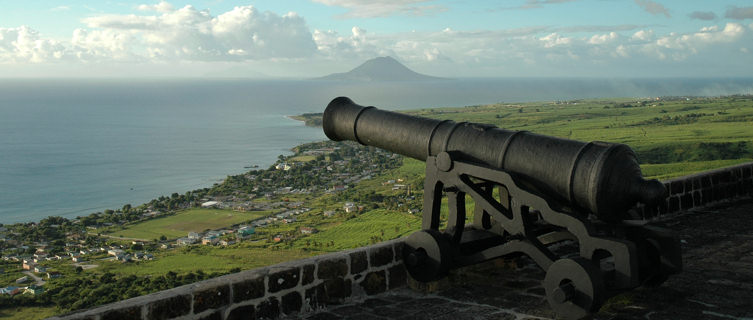Cannon