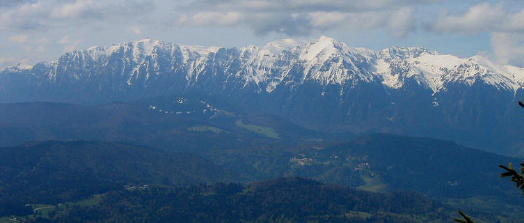Carpathian