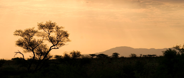 Dawn