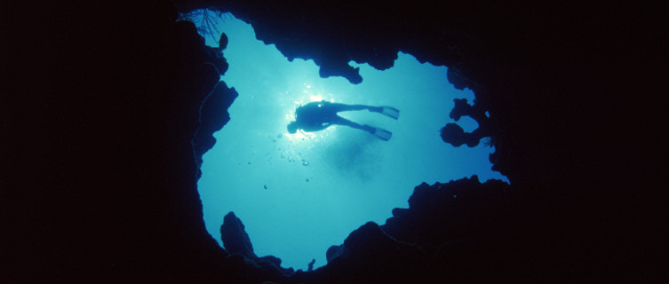 Dive