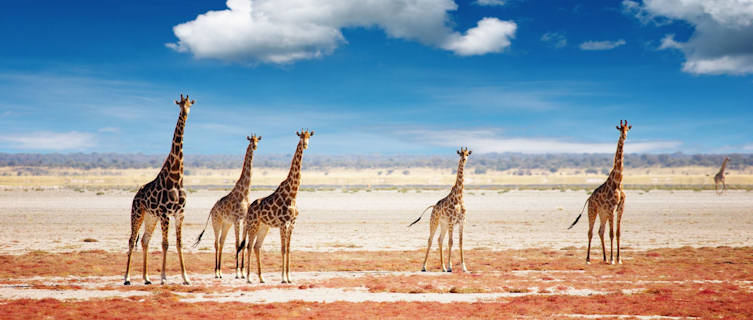 Etosha