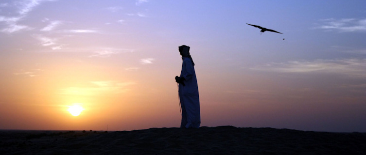 Falconer