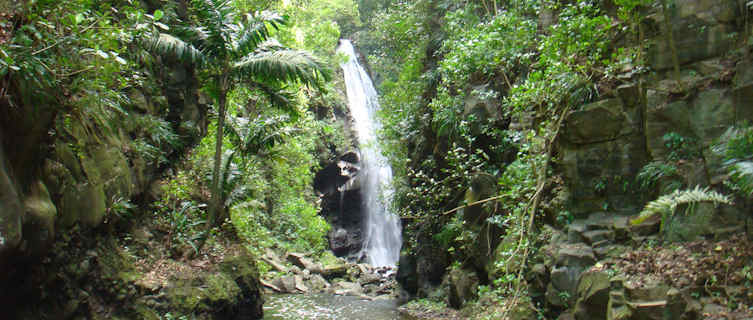 Falls