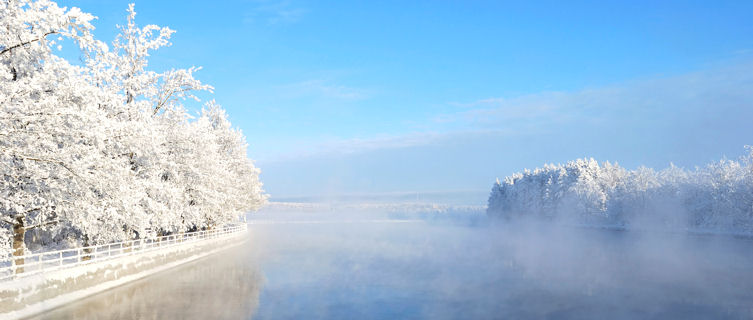 Fog