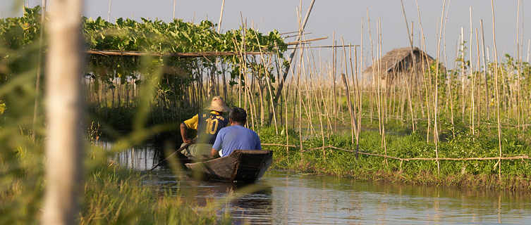 Inle