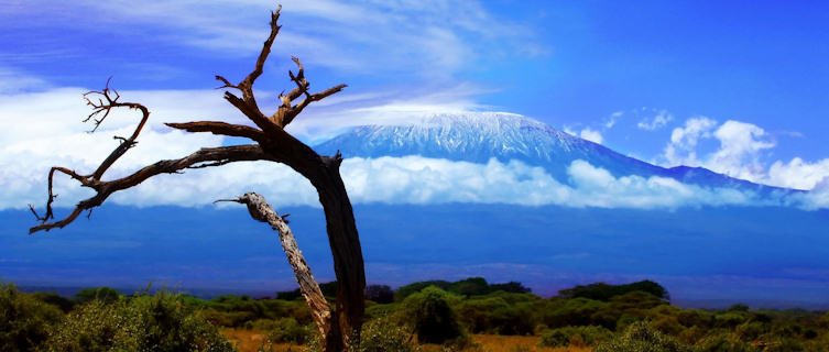 Kilamanjaro,
