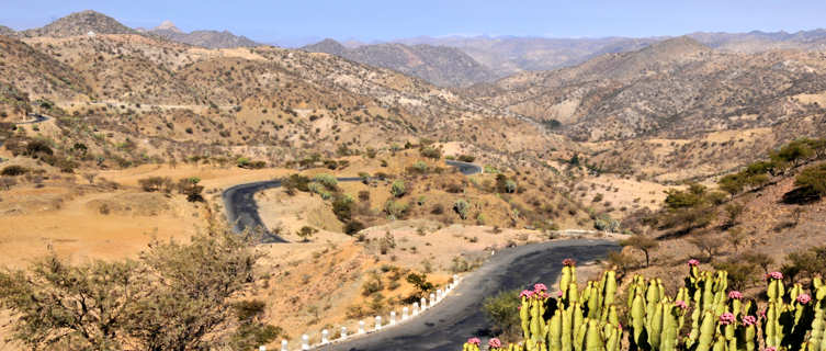 Landscape