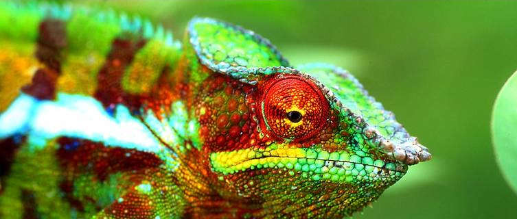 Madagascar