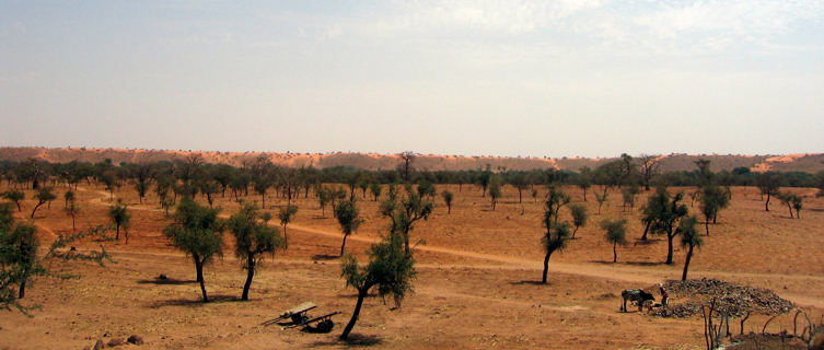 Mali
