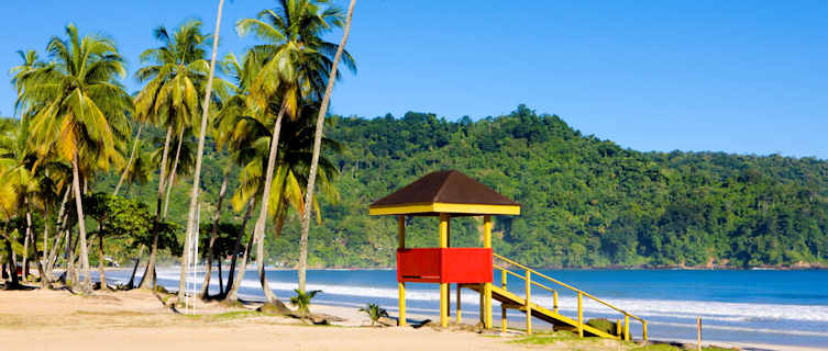 Maracas