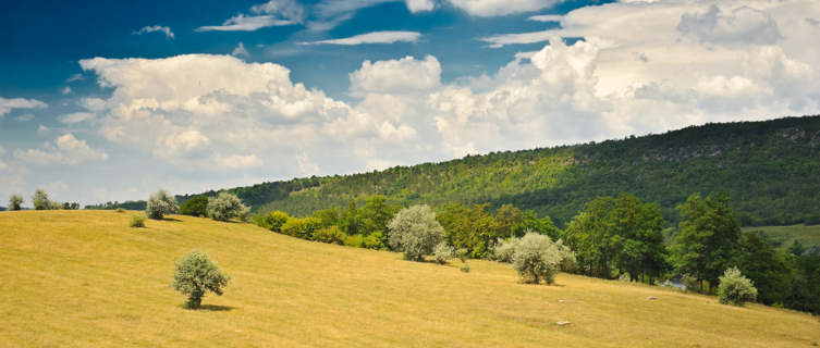 Moldova's