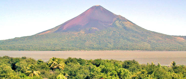 Momotobo