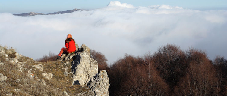 Mountain