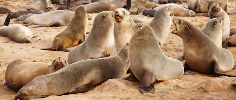 Namibia's