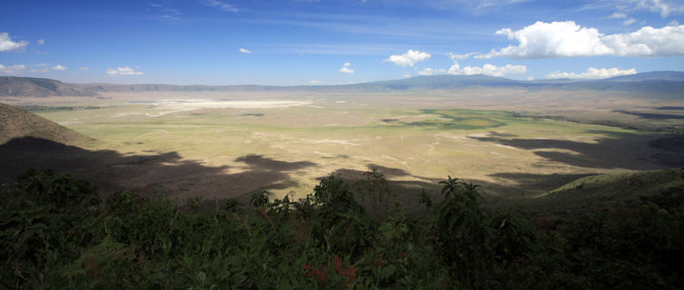 Ngorongoro