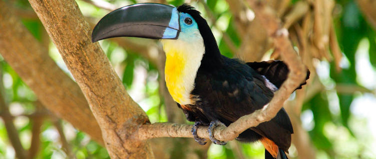 Nicaragua
