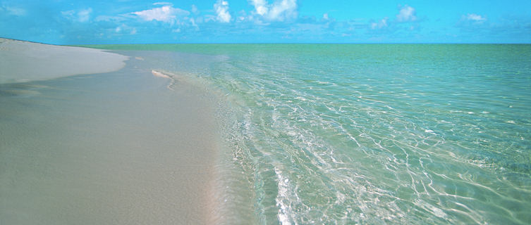 Paradise
