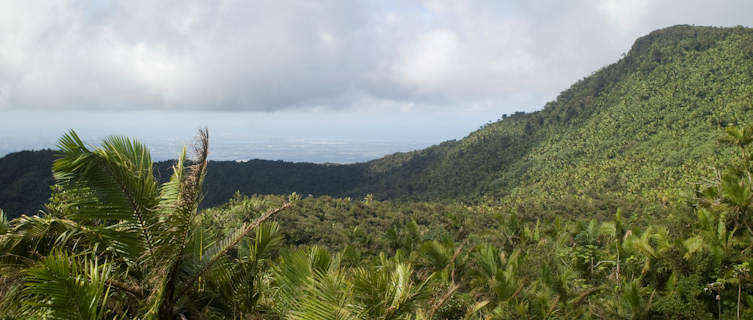 Puerto