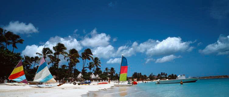 Sailboats