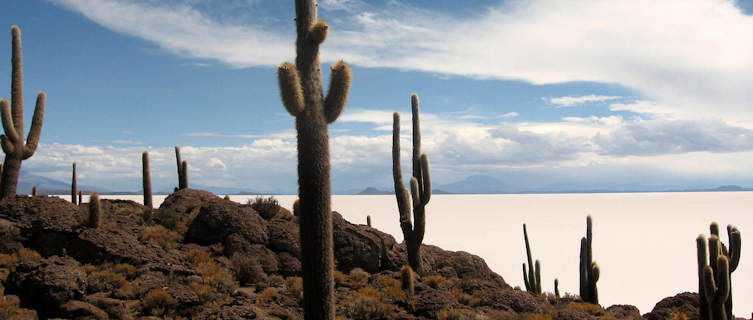 Salar