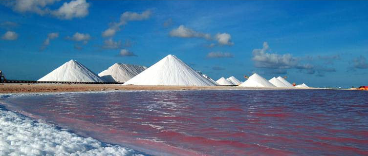 Salt