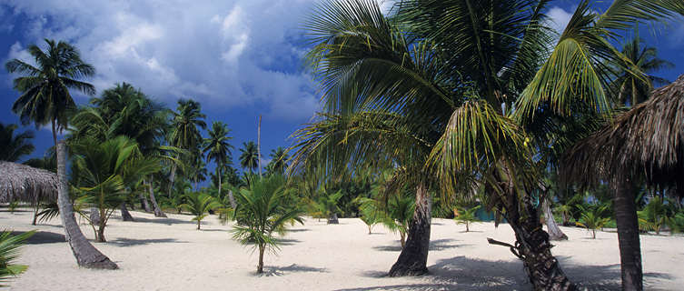 Saona
