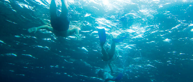 Scuba