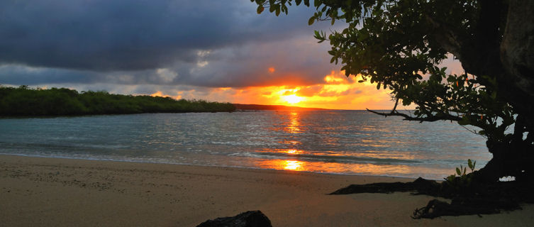 Sunrise