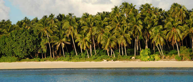 Tongan