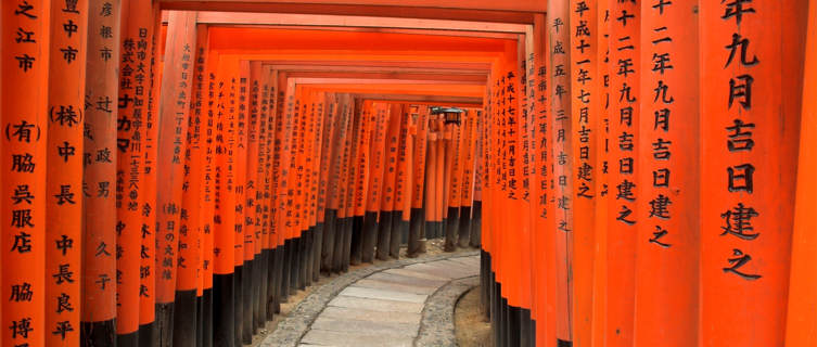 Torii