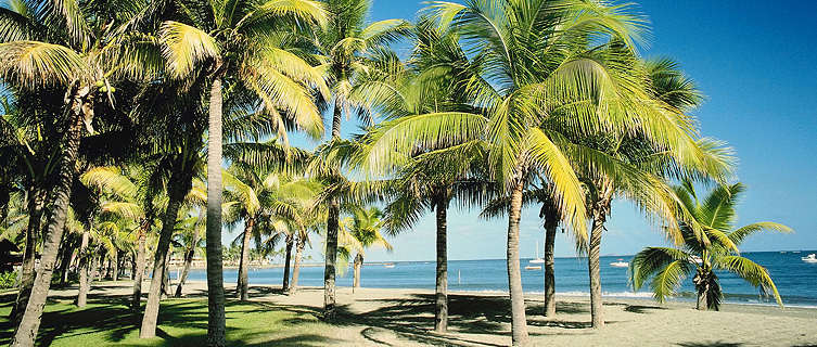 Tropical