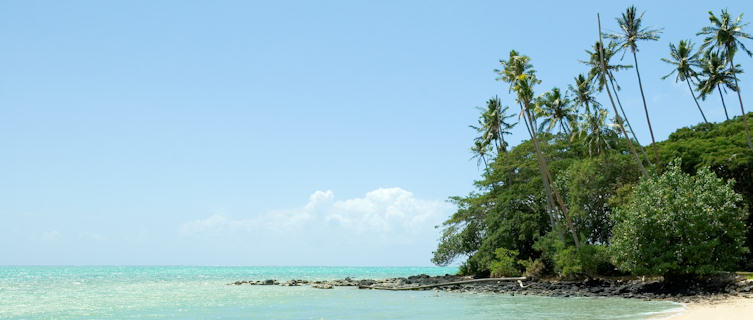 Tropical