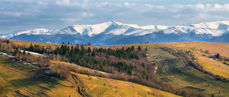 Ukraine's