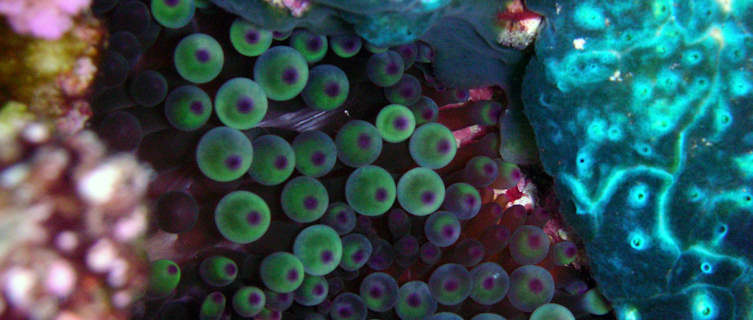Underwater