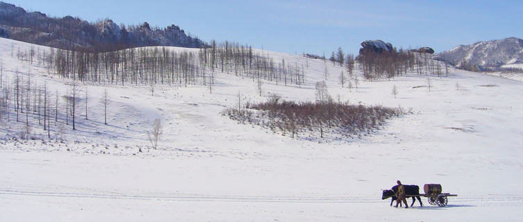 Winter