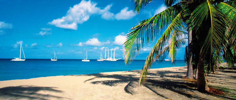 Yachts