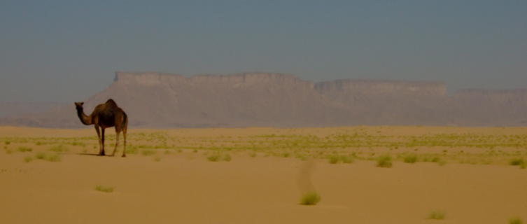 Yemen