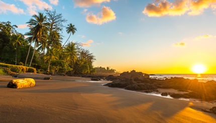 shu-costa-rica-osa-peninsula-1044130981-430x246