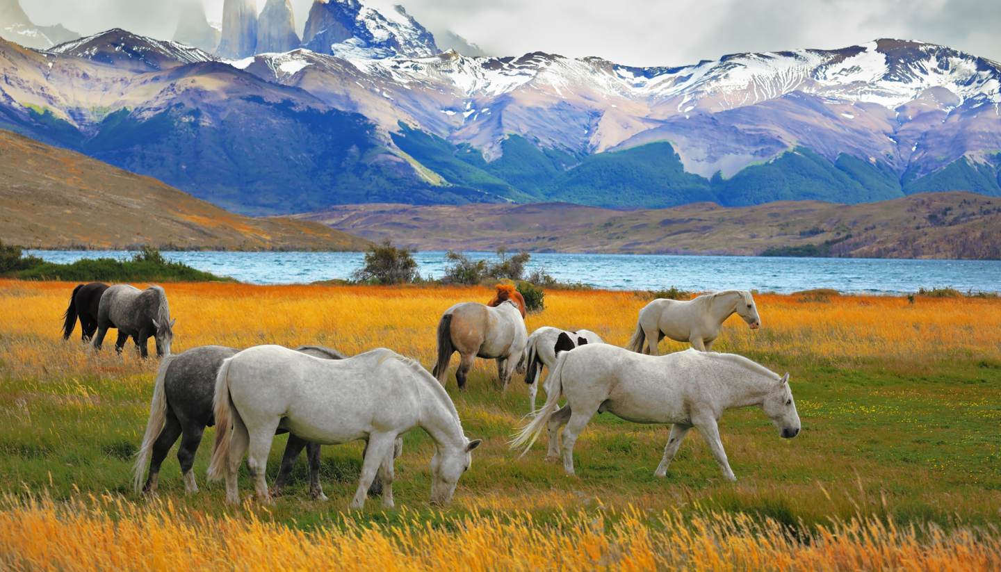 Top 5: National parks for intrepid travellers - Torres Del Paine National Park in Chile