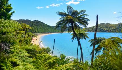 Abel Tasman National Park, New Zealand